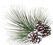 Snow Spray 51g